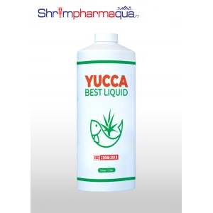 Yucca Best Liquid – Yucca hấp thu khí độc, sạch nước ao nuôi và cấp cứu tôm cá nổi đầu